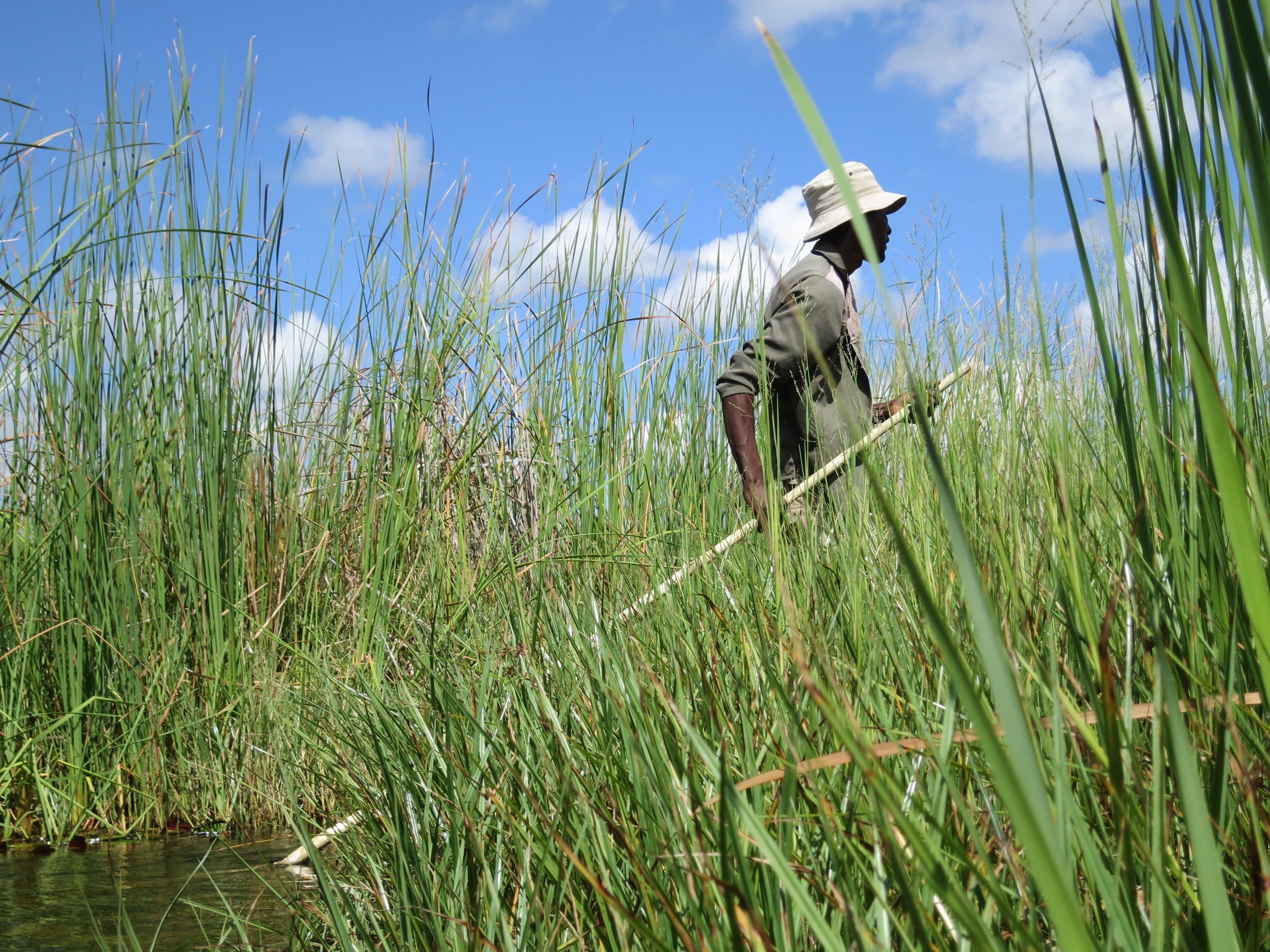 UTAustin Transfer Application Requirements and Eligibility — Tex